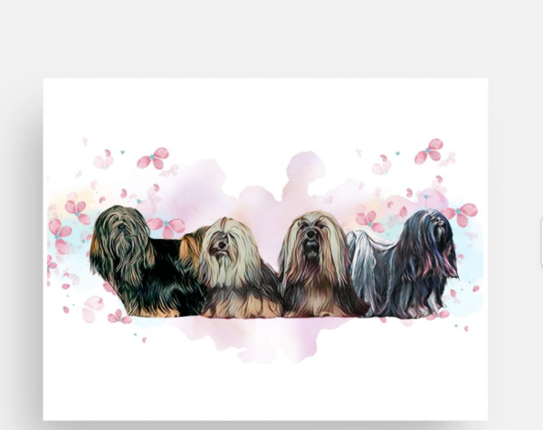 Lhasa Apso Frühlingspaket
